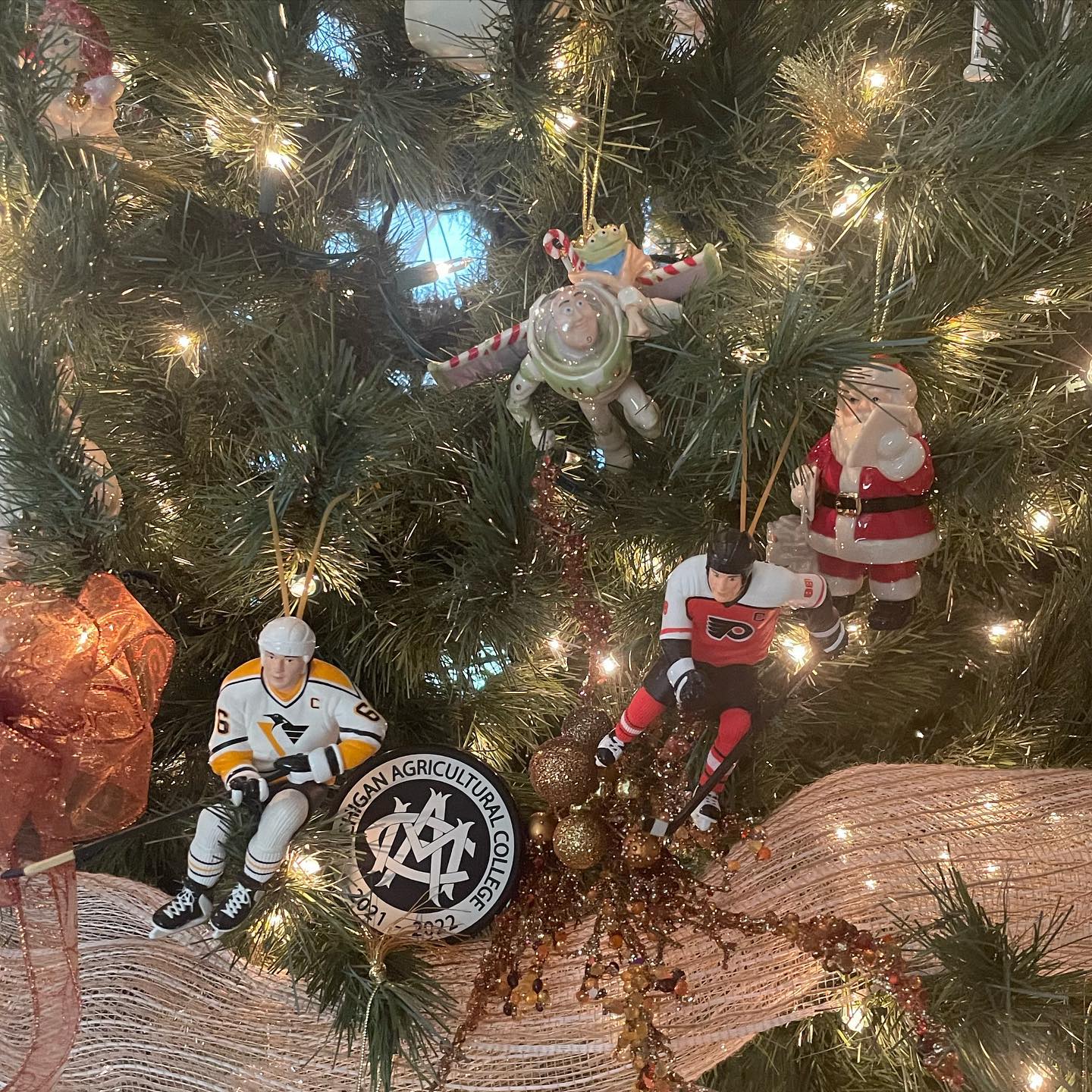 Merry Christmas from all of us at MSU ACHA Hockey. May all your holiday wishes come true!

pc: @torreymschwartz